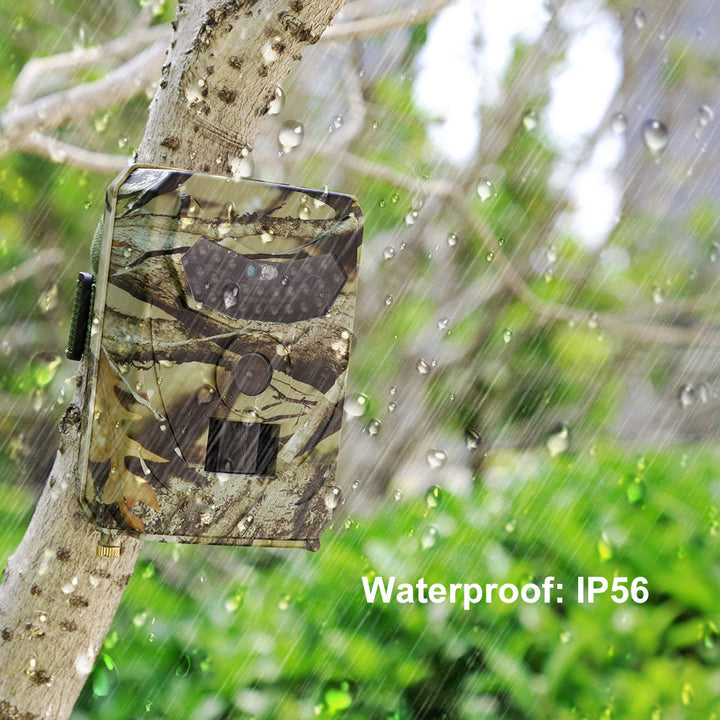 Discover the Ultimate 1080P Trail Camera for Your Outdoor Adventures