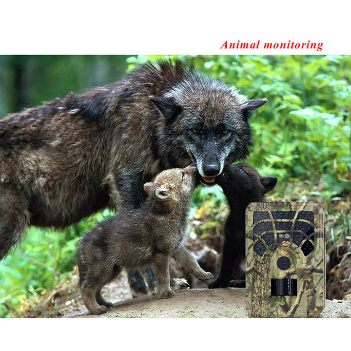 Capture Every Moment with the Camouflage Trail Camcorder Trap