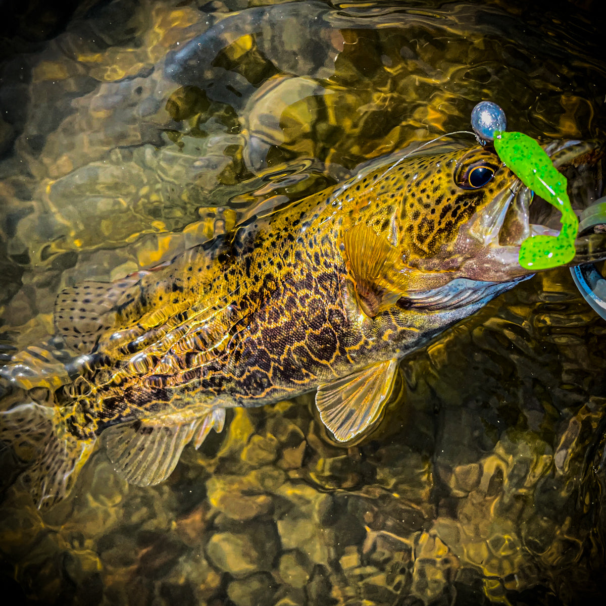 Subfalse Bait T-tail Soft Multi Node