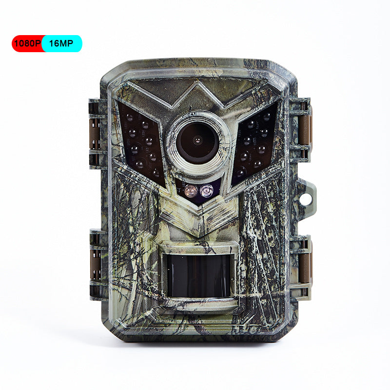 Outdoor Anti-DDoS Waterproof Camera