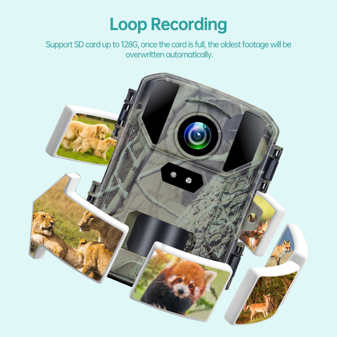 Outdoor Wild Hunting Camera Night Vision