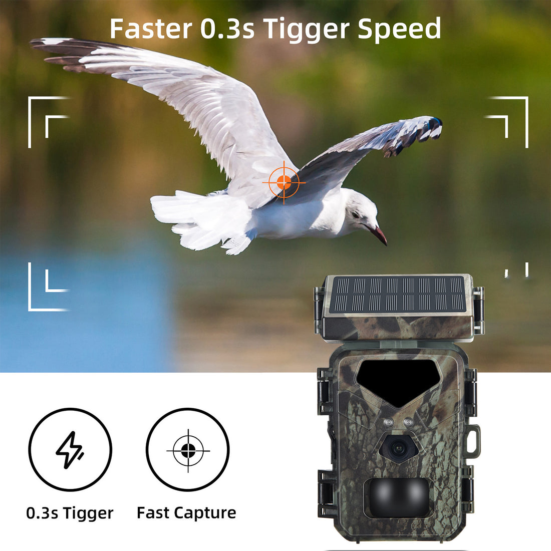 HD Anti-hunting Camera Mini700