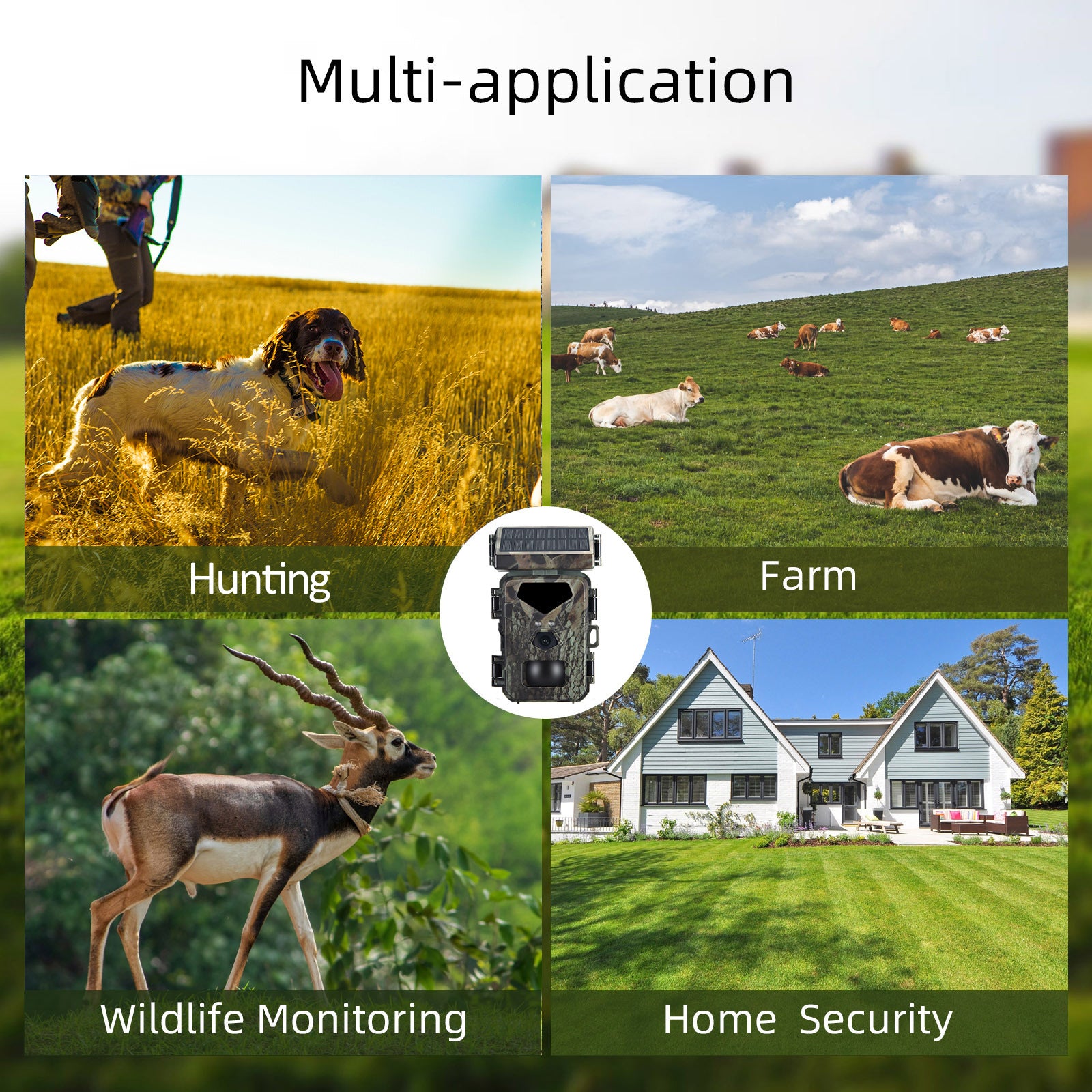 HD Anti-hunting Camera Mini700